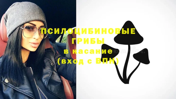 МДПВ Алексин