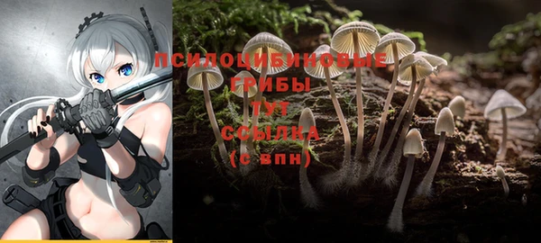 каннабис Алексеевка