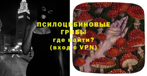 МДПВ Алексин